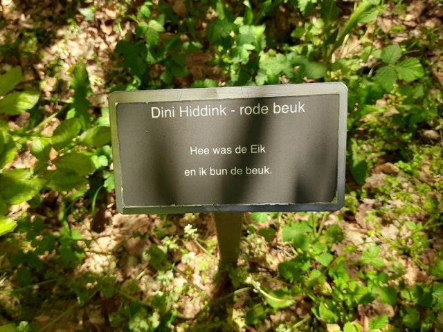67 Dinie Hiddink